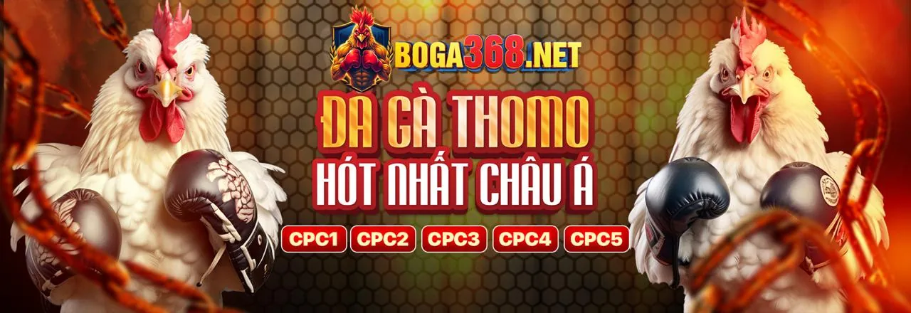 Cấp độ VIP Đồng của ku888 nhà cái