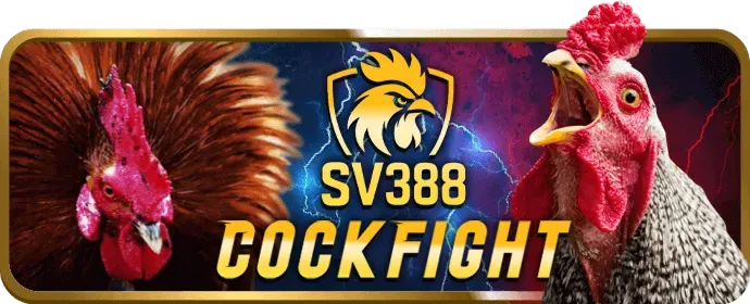 Mạng xã hội ku888 nhà cái